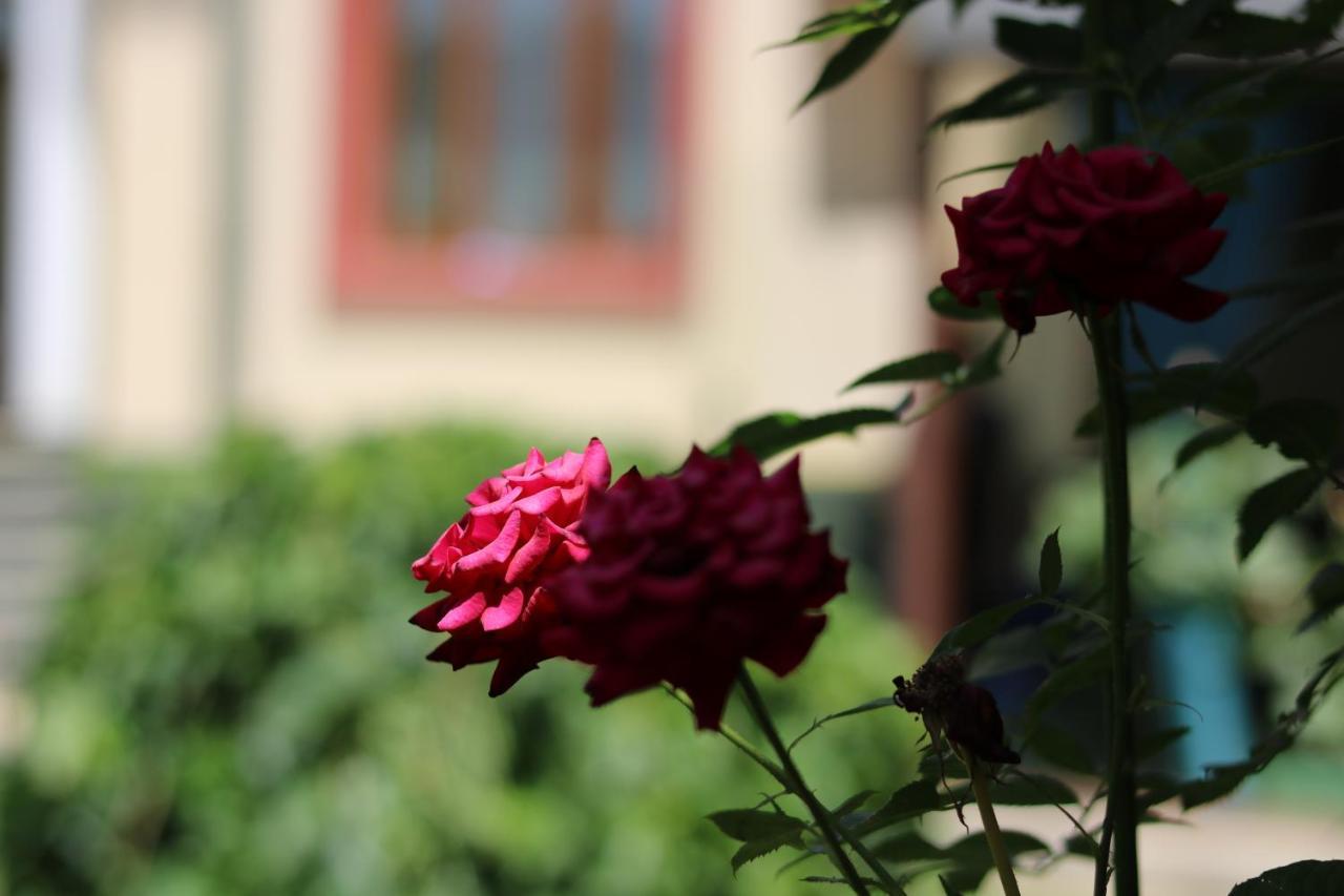 Chinor Garden Hotel - Free Airport Pick-Up And Drop-Off Taskent Exterior foto