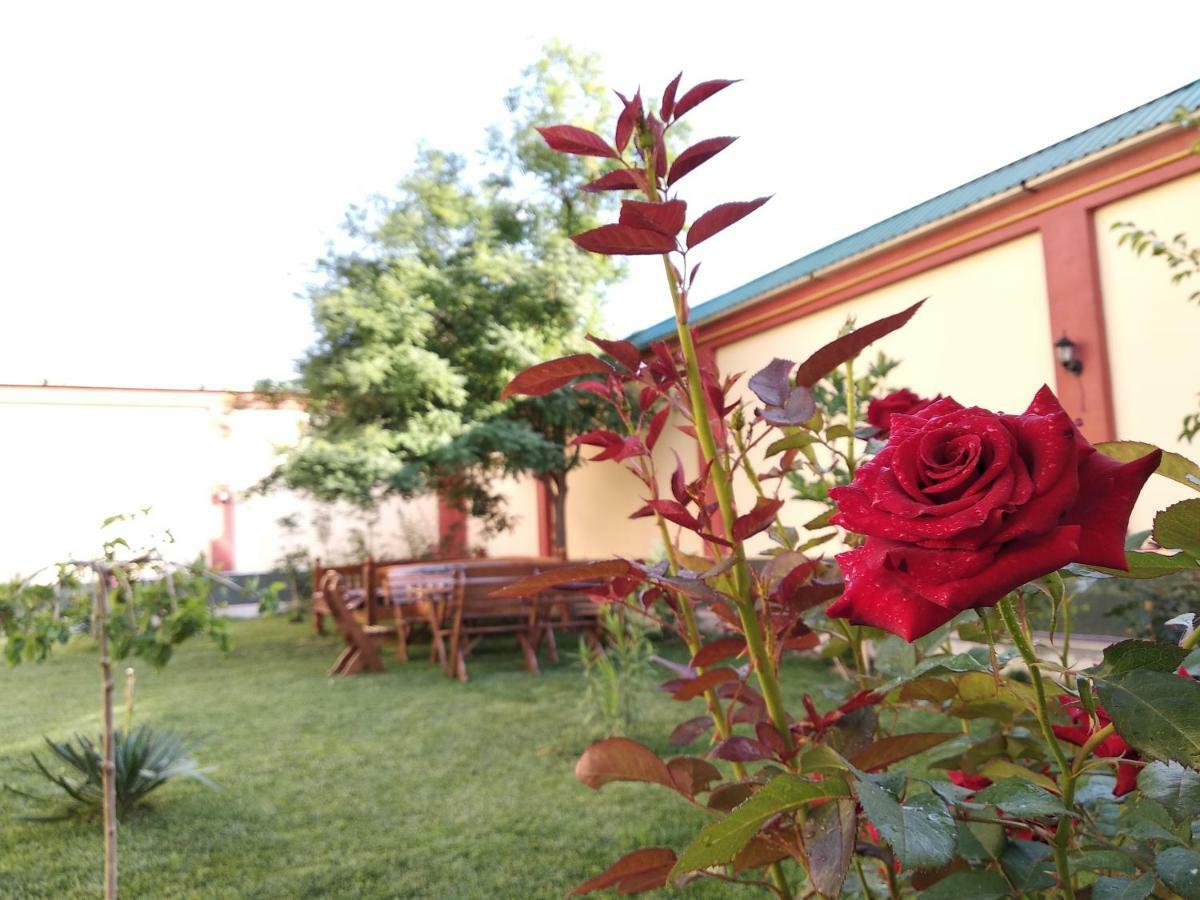 Chinor Garden Hotel - Free Airport Pick-Up And Drop-Off Taskent Exterior foto